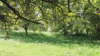Nature in solitude