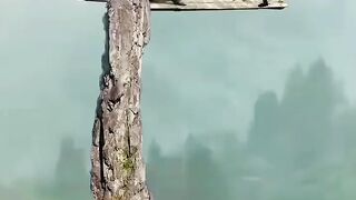 Что бы вы сделали в этой ситуации 
