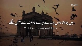 Tehzeeb Hafi