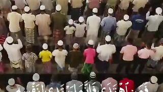 Beautiful Quran