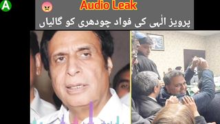 Pervaiz Elahi abused Fawad Chaudhry