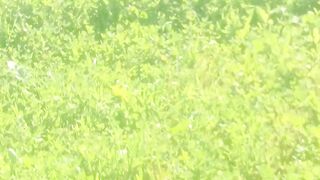 Green#grass#at#village