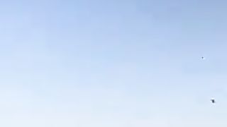 Kite flying lovers