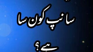 World beautiful sneak | khubsort sanp