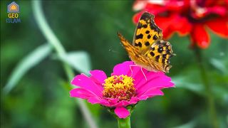 Subah Ki Dua _ Good Morning Dua _ Dua For Starting Your Day _ صبح کی دعا