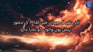 NABi(S.A.W)