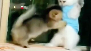 So sweet cute cats baby ????????