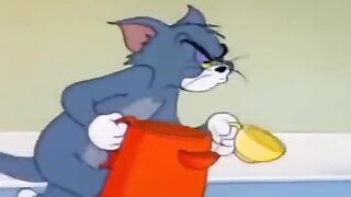 Funny jokes Tom and Jerry