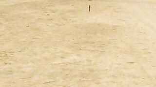 Horse game