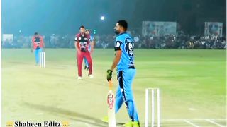 Cricket