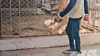 Funny video