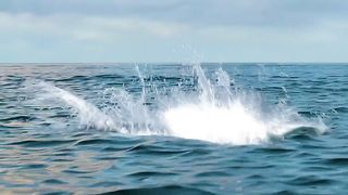 Short Movie