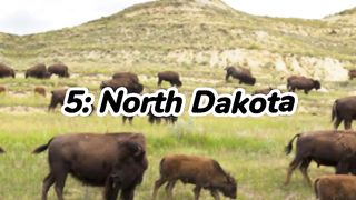 Top 5 States With the Best Quality of Life