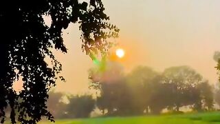 Natura video