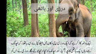 درزی اور ہاتھی