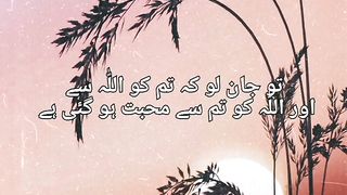 Best islamic video????