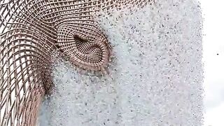 amazing video