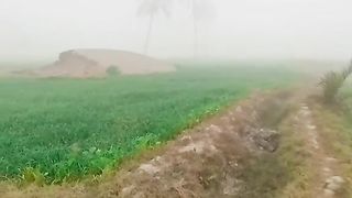 Naturavideo