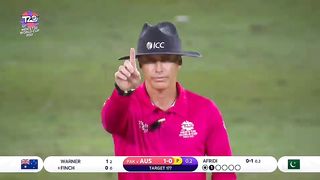 Cricket fans