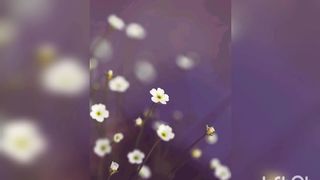 How to beutiful photo