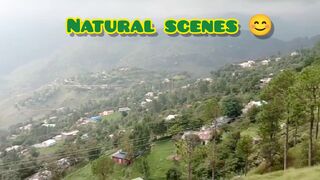 Natural scenes