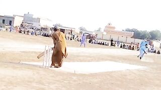 Tape Ball Cricket