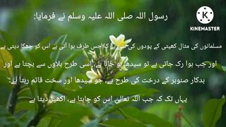 Hazrat Muhammad Saw ki Hadees