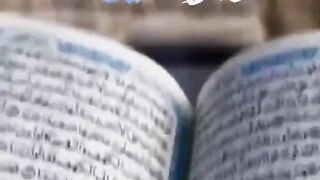 Amazing youtube vedios