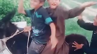 funny boys and donkey in villge