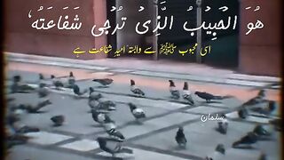 Naat Status