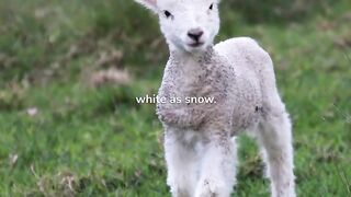 Kids poem in Cartoon characters