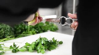 Kitchen Scissors Heavy Duty