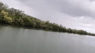 Crocodile steals shark off fisherman.s