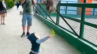 What a small child ???? | sweet kid | subscribe