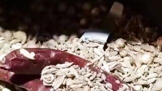 Fish in garlic butter sauce | vetki fish fillet recipe,