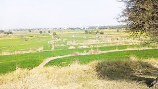 My beautifull city mansehra