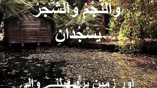 Ayat al Quran
