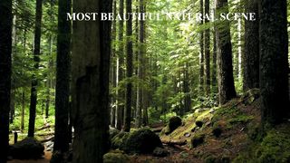 Most beautiful Natural Scene