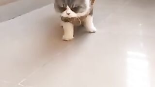 Cute casper slowmo video