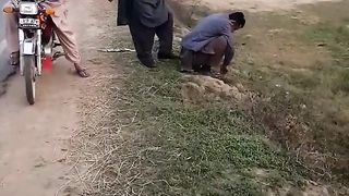 Very funny video
