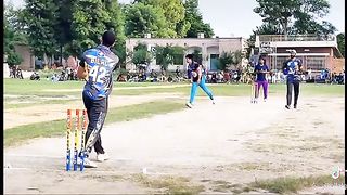 Cricket lover????❤hit six????
