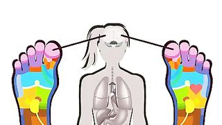 Our feet and organs.