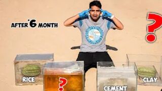 Watermelons After 6 Months - तरबूज का क्या हुआ ? | Part-2