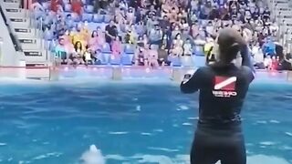 Girl playing with Dolphin ????