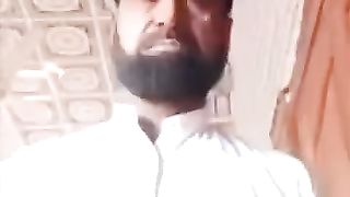 بس نبض چلتی ہو