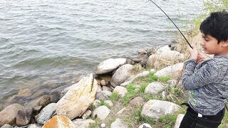 13 Inches Perch Fish | Jumbo Perch Fish 2020 | Record Perch | Blackstrap, how to catch Jumbo perch