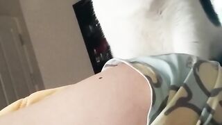 Cats funny video compilation - funny cat videos