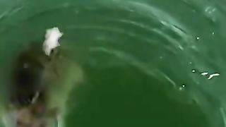 Amazing Fishing skills|Catch & Release|Ice fishing |Fishing 360
