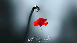 #new naat status__ Islamic status