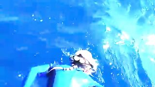 shark attack